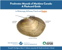 Freshwater Mussels of Maritime Canada: a Flashcard Guide