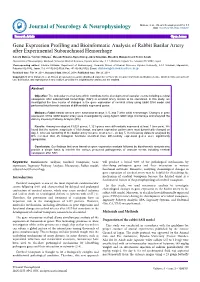 Gene Expression Profiling and Bioinformatic Analysis of Rabbit