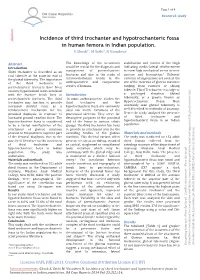 Incidence of Third Trochanter and Hypotrochanteric Fossa in Human Femora in Indian Population
