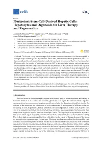 Pluripotent-Stem-Cell-Derived Hepatic Cells: Hepatocytes and Organoids for Liver Therapy and Regeneration