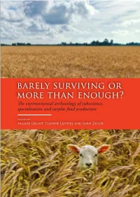 Barely Surviving Or More Than Enough?