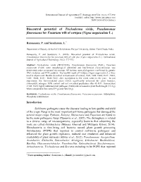 Biocontrol Potential of Trichoderma Viride, Pseudomonas Fluorescens for Fusarium Wilt of Cowpea (Vigna Unguiculata L.)