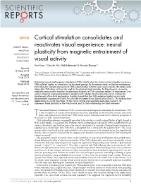 Cortical Stimulation Consolidates and Reactivates Visual