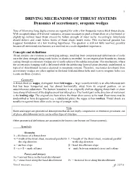 Geodynamics of Wedges