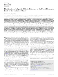 Identification of a Specific Maleate Hydratase in the Direct Hydrolysis