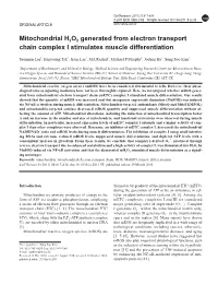 Mitochondrial H2O2 Generated from Electron Transport Chain Complex I Stimulates Muscle Differentiation