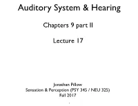 Auditory System & Hearing