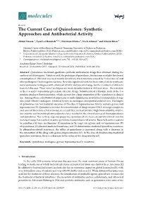 The Current Case of Quinolones: Synthetic Approaches and Antibacterial Activity