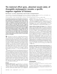 The Maternal Effect Gene, Abnormal Oocyte (Abo), of Drosophila Melanogaster Encodes a Specific Negative Regulator of Histones