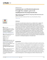 Acetyl Group Coordinated Progression Through the Catalytic Cycle of an Arylalkylamine N-Acetyltransferase