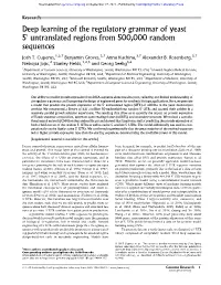 Deep Learning of the Regulatory Grammar of Yeast 5′ Untranslated Regions from 500,000 Random Sequences
