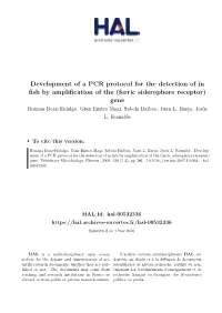 Development of a PCR Protocol for the Detection of in Fish by Amplification