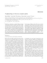 Ecophysiology of Antarctic Vascular Plants