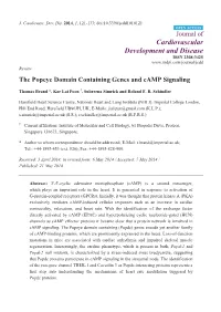 The Popeye Domain Containing Genes and Camp Signaling