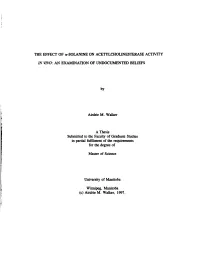 THE EFFECT of A-SOLANINE on ACETYLCHOLINESTERASE ACTMTY in WO: an EXAMINATION of UNDOCUMENTED BELIEFS a Thesis in Partial Fiifdi