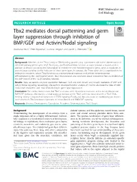 Tbx2 Mediates Dorsal Patterning and Germ Layer Suppression Through