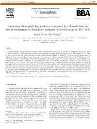 Continuous Chlorophyll Degradation Accompanied by Chlorophyllide and Phytol Reutilization for Chlorophyll Synthesis in Synechocystis Sp