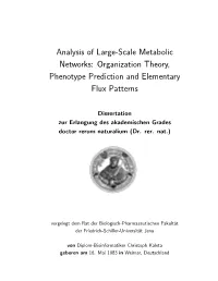 Analysis of Large-Scale Metabolic Networks: Organization Theory, Phenotype Prediction and Elementary Flux Patterns