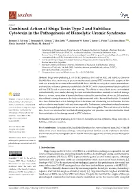Combined Action of Shiga Toxin Type 2 and Subtilase Cytotoxin in the Pathogenesis of Hemolytic Uremic Syndrome