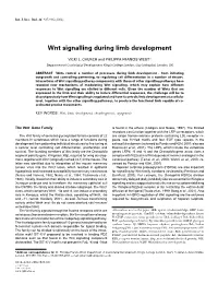 Wnt Signalling During Limb Development