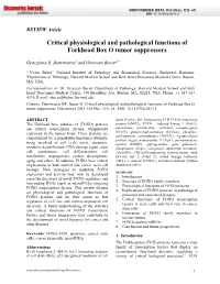 Critical Physiological and Pathological Functions of Forkhead Box O Tumor Suppressors