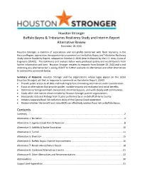 Houston Stronger Buffalo Bayou & Tributaries Resiliency Study And