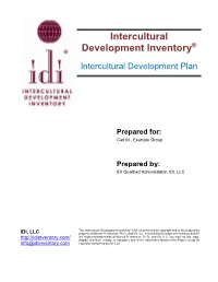 Sample IDI Intercultural Development Plan (IDP)