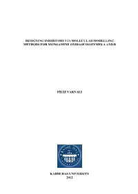 Designing Inhibitors Via Molecular Modelling Methods for Monoamine Oxidase Isozymes a and B Filiz Varnali Kadir Has Universit