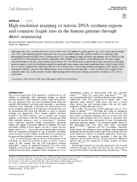 High-Resolution Mapping of Mitotic DNA Synthesis Regions and Common Fragile Sites in the Human Genome Through Direct Sequencing