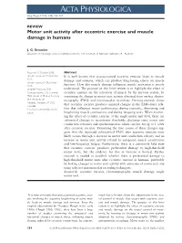 Motor Unit Activity After Eccentric Exercise and Muscle Damage in Humans