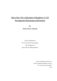 Role of the CTLA-4 Receptor in Regulatory T Cell Development, Homeostasis and Function
