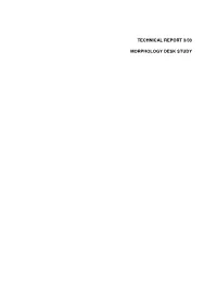 Technical Report 3/03 Morphology Desk Study