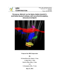Technical Report on the Shea Creek Property, Northern Saskatchewan, with an Updated Mineral Resource Estimate