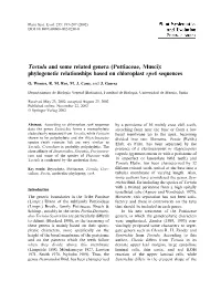 Tortula and Some Related Genera (Pottiaceae, Musci): Phylogenetic Relationships Based on Chloroplast Rps4 Sequences