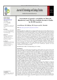Assessment of Genetic Variability in Murrah, Bhadawari and Nili-Ravi