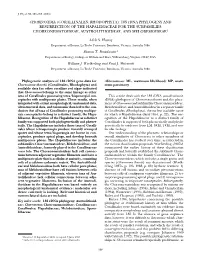 CHOREONEMA (CORALLINALES, RHODOPHYTA): 18S Rdna