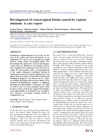 Development of Vesicovaginal Fistula Caused by Vaginal Adenosis: a Case Report