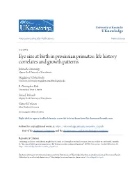 Eye Size at Birth in Prosimian Primates: Life History Correlates and Growth Patterns Joshua R