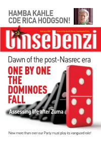 One by One the Dominoes Fall Assessing Life After Zuma