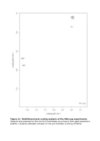R Graphics Output