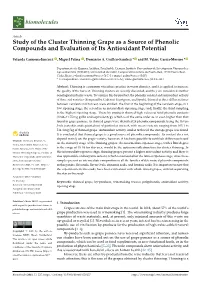 Study of the Cluster Thinning Grape As a Source of Phenolic Compounds and Evaluation of Its Antioxidant Potential