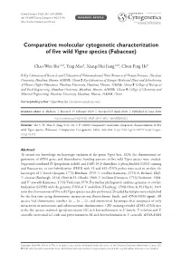 Comparative Molecular Cytogenetic Characterization of Five Wild Vigna Species (Fabaceae)