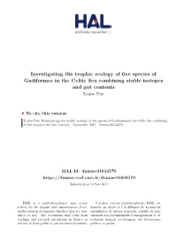 Investigating the Trophic Ecology of Five Species of Gadiformes in the Celtic Sea Combining Stable Isotopes and Gut Contents Louise Day