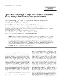 Optics-Based Surveys of Large Unicellular Zooplankton: a Case Study on Radiolarians and Phaeodarians