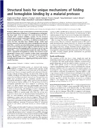 Structural Basis for Unique Mechanisms of Folding and Hemoglobin Binding by a Malarial Protease