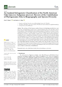 An Updated Infrageneric Classification of the North American Oaks