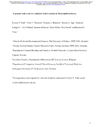 A Genome-Wide Scan for Candidate Lethal Variants in Thoroughbred Horses