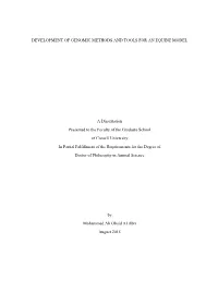 Development of Genomic Methods and Tools for an Equine Model