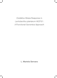 Oxidative Stress Response in Lactobacillus Plantarum WCFS1: a Functional Genomics Approach