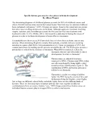 Specific Histone Gene May Be a Key Player in Brain Development by Allison Wagner